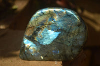 Polished Flashy Labradorite Standing Free Forms  x 3 From Tulear, Madagascar