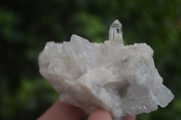 Natural Clear Quartz Clusters  x 12 From Zambia - Toprock Gemstones and Minerals 