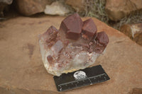 Natural Red Hematoid Quartz Specimens x 2 From Karoi, Zimbabwe - TopRock