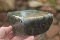 Polished Labradorite Standing Free Forms  x 2 From Tulear, Madagascar - TopRock