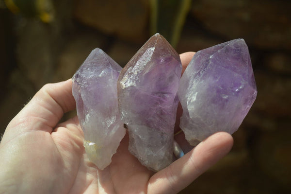 Natural Single Jacaranda Amethyst Crystals x 12 From Mumbwe, Zambia