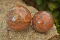 Polished Flashy Peach Moonstone Spheres  x 6 From Madagascar - Toprock Gemstones and Minerals 