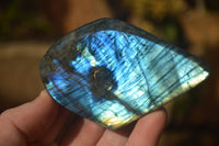 Polished Flashy Labradorite Standing Free Forms  x 3 From Tulear, Madagascar