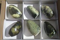 Polished Spotted Leopard Stone Standing Free Forms  x 6 From Zimbabwe - Toprock Gemstones and Minerals 