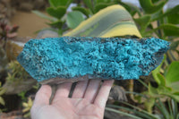 Natural Silica Chrysocolla Specimens x 3 From Kulukuluku, Congo