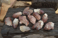 Natural Red Hematoid Quartz Specimens x 12 From Karoi, Zimbabwe