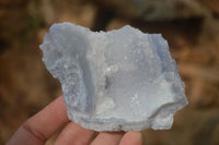 Natural Etched Blue Chalcedony Specimens  x 12 From Nsanje, Malawi