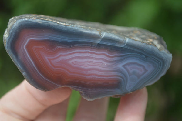 Polished Banded River Agate Nodules  x 6 From Sashe River, Zimbabwe - Toprock Gemstones and Minerals 