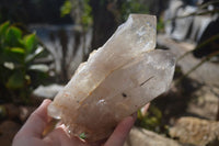 Natural Large Multi Terminated Quartz Crystal Point x 1 From Angola