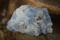 Natural New Sky Blue Calcite Specimens  x 12 From Spitzkop, Namibia