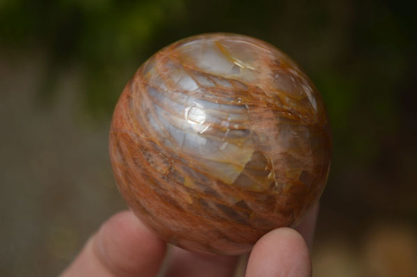 Polished Flashy Peach Moonstone Spheres  x 6 From Madagascar - Toprock Gemstones and Minerals 