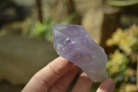 Natural Single Jacaranda Amethyst Crystals x 12 From Mumbwe, Zambia