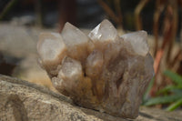 Natural Cascading Smokey Quartz Clusters x 3 From Luena, Congo