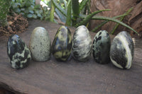 Polished Spotted Leopard Stone Standing Free Forms  x 6 From Zimbabwe - Toprock Gemstones and Minerals 