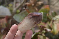 Natural Red Hematoid Quartz Specimens x 12 From Karoi, Zimbabwe