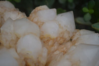 Natural Extra Large White Phantom Pineapple Quartz Cluster  x 1 From Madagascar - Toprock Gemstones and Minerals 