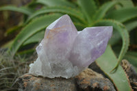 Natural Jacaranda Amethyst Clusters  x 3 From Mumbwa, Zambia - Toprock Gemstones and Minerals 