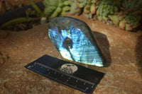 Polished Flashy Labradorite Standing Free Forms  x 3 From Tulear, Madagascar