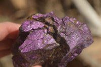 Natural Metallic Purpurite Cobbed Specimens  x 6 From Erongo, Namibia - Toprock Gemstones and Minerals 