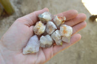 Natural Single Spirit Quartz Clusters & Crystals   x 63 From Boekenhouthoek, South Africa - TopRock