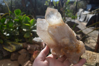 Natural Large Multi Terminated Quartz Crystal Point x 1 From Angola