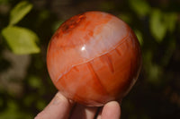 Polished  Carnelian Agate Spheres  x 3 From Madagascar