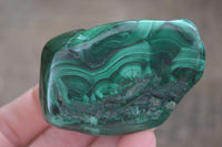 Polished Flower Banded Malachite Free Forms  x 12 From Congo - Toprock Gemstones and Minerals 