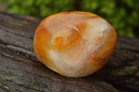 Polished Carnelian Gallets With Natural Vugs & Crystalline Features x 24 From Madagascar - TopRock