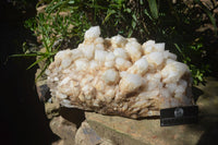 Natural Extra Large White Phantom Pineapple Quartz Cluster  x 1 From Madagascar - Toprock Gemstones and Minerals 