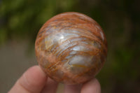 Polished Flashy Peach Moonstone Spheres  x 6 From Madagascar - Toprock Gemstones and Minerals 