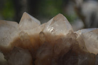 Natural Cascading Smokey Quartz Clusters x 3 From Luena, Congo