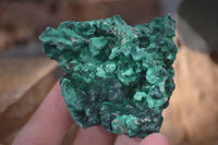 Natural Chatoyant Silky Malachite Specimens  x 12 From Kasompe, Congo