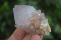 Natural Single Spirit Cactus Quartz Crystals  x 24 From Boekenhouthoek, South Africa - Toprock Gemstones and Minerals 