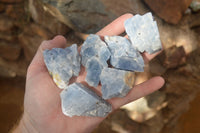 Natural New Sky Blue Calcite Specimens  x 35 From Spitzkop, Namibia