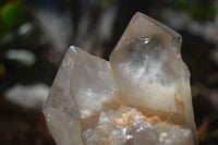 Natural Large Multi Terminated Quartz Crystal Point x 1 From Angola