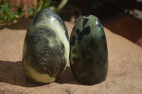 Polished Spotted Leopard Stone Standing Free Forms  x 6 From Zimbabwe - Toprock Gemstones and Minerals 