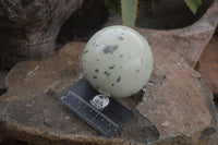 Polished Spotted Leopard Stone Spheres  x 2 From Zimbabwe - Toprock Gemstones and Minerals 