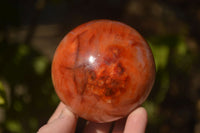 Polished  Carnelian Agate Spheres  x 3 From Madagascar