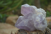 Natural Jacaranda Amethyst Clusters  x 3 From Mumbwa, Zambia - Toprock Gemstones and Minerals 