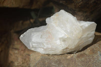 Natural White Candle Quartz Crystals  x 3 From Madagascar