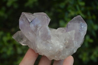 Natural Jacaranda Amethyst Clusters  x 2 From Zambia - Toprock Gemstones and Minerals 