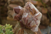 Natural Red Hematoid Quartz Specimens x 2 From Karoi, Zimbabwe - TopRock