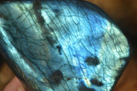 Polished Flashy Labradorite Standing Free Forms  x 3 From Tulear, Madagascar