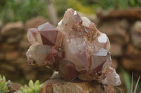 Natural Red Hematoid Quartz Specimens x 2 From Karoi, Zimbabwe - TopRock