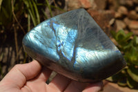 Polished Labradorite Standing Free Forms With Intense Blue & Gold Flash x 3 From Sakoany, Madagascar - TopRock