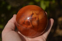 Polished  Carnelian Agate Spheres  x 3 From Madagascar