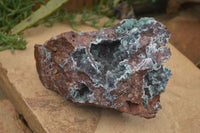 Natural Drusy Coated Ball Malachite On Dolomite Specimen x 1 From Likasi, Congo