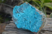 Natural Silica Chrysocolla Specimens x 3 From Kulukuluku, Congo