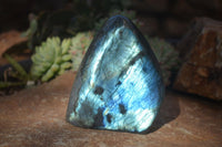 Polished Flashy Labradorite Standing Free Forms  x 3 From Tulear, Madagascar