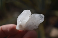 Natural Single Etched Clear Quartz Crystals x 70 From Mpika, Zambia